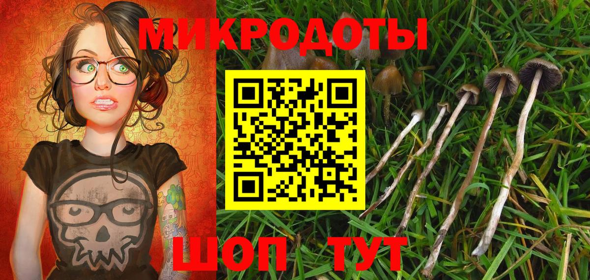 Псилоцибиновые грибы мухоморы Гусиноозёрск