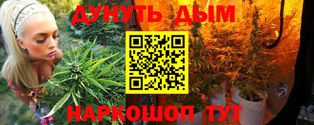 Бошки марихуана Amnesia Гусиноозёрск